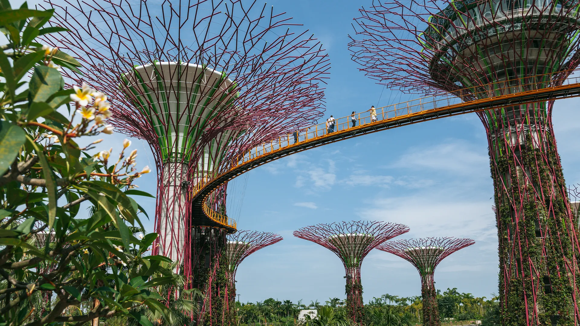 Expedia's Singapore Travel Guide Video