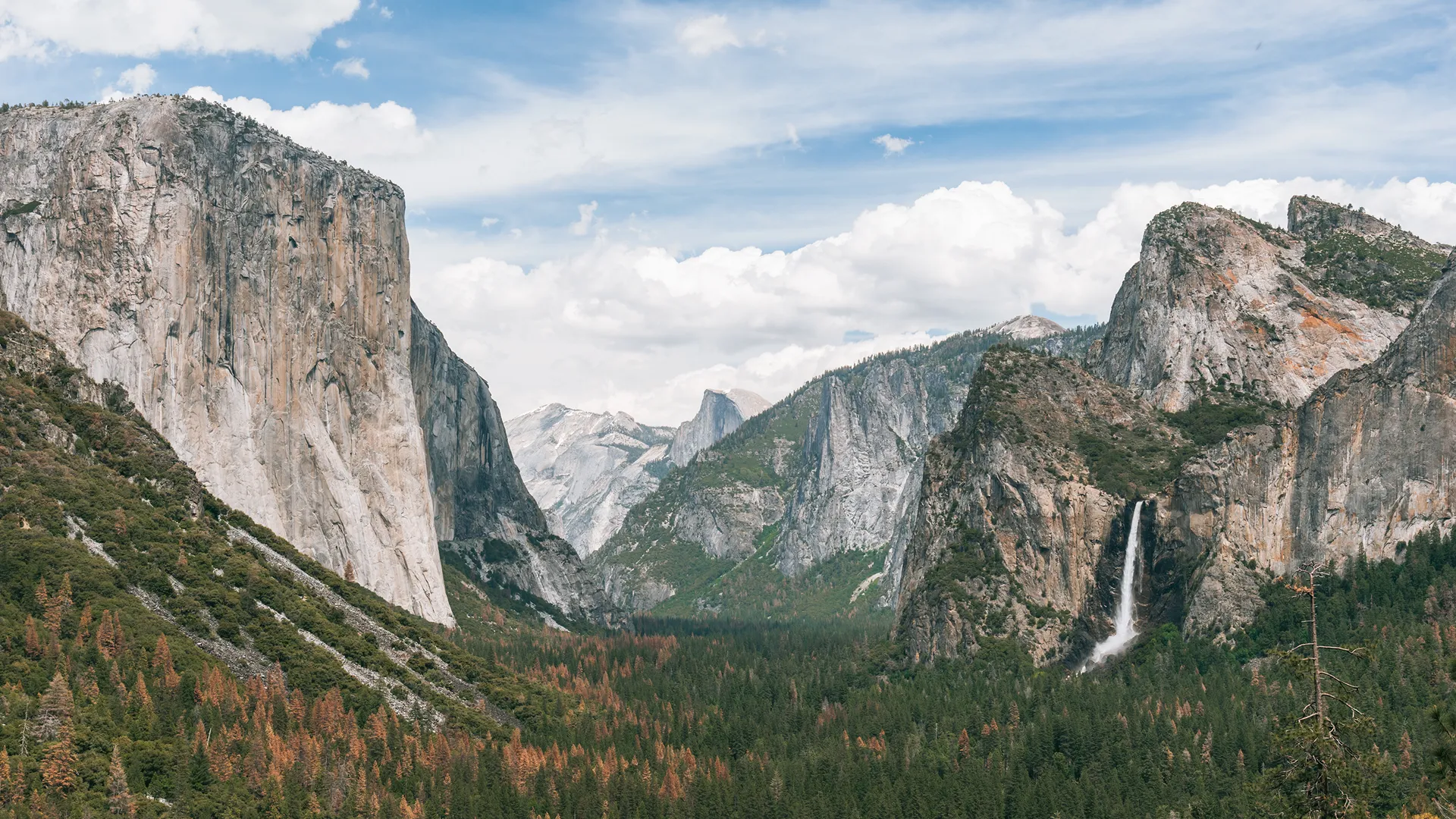 Expedia's Yosemite Travel Guide Video
