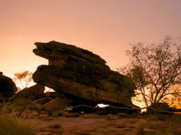 Kakadu in Australia