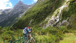 Milford Track