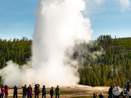 Yellowstone National Park